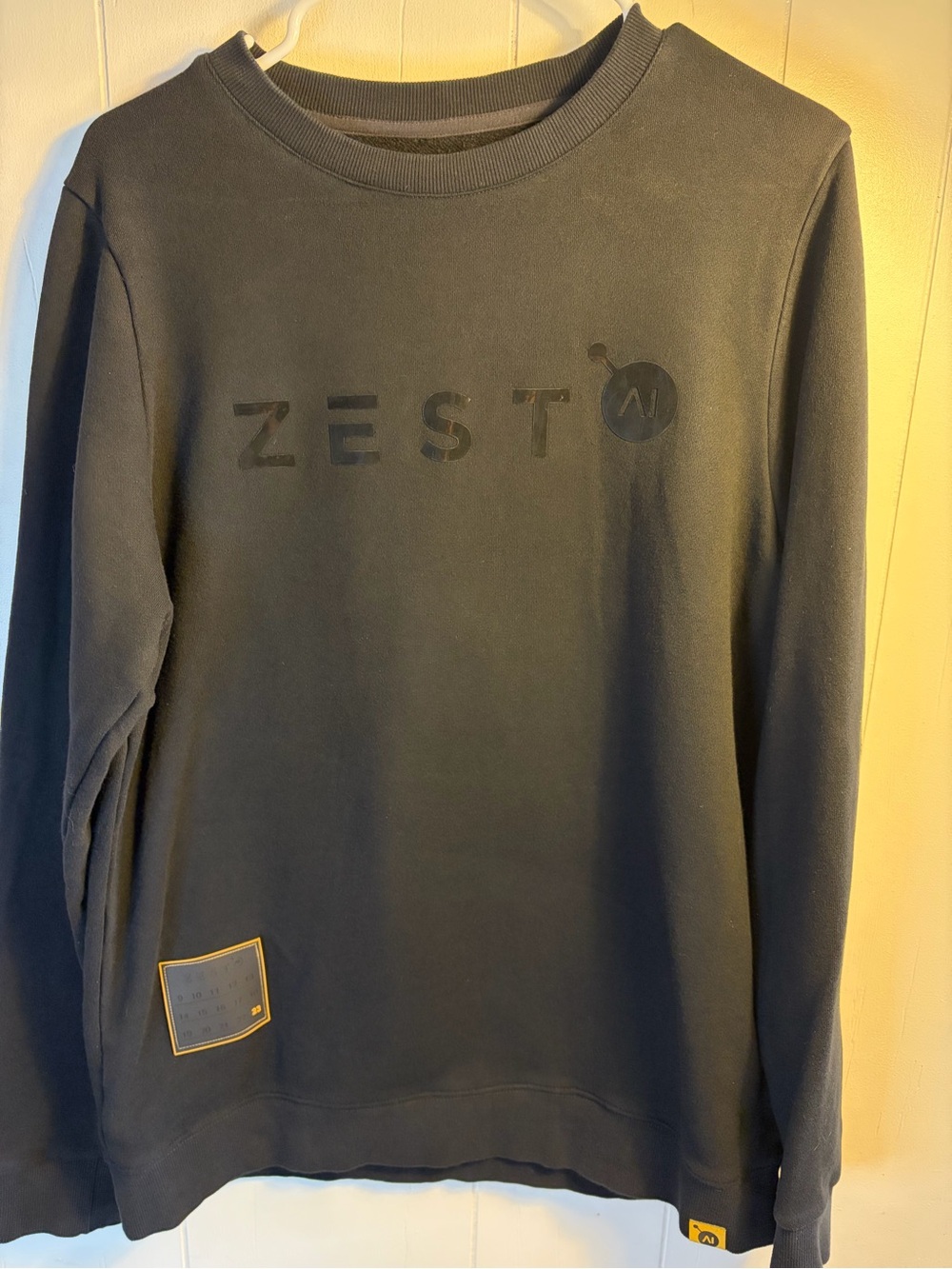 Zest AI Black Crewneck Sweatshirt Tech Swag Promo Pullover Sweater Size L